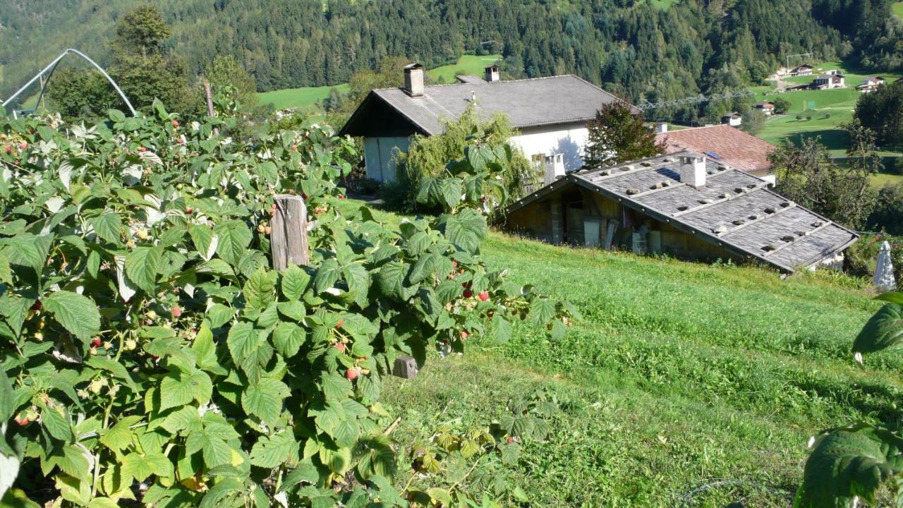 Obergereuth Hof 1288 Apartment San Martino In Passiria  Luaran gambar