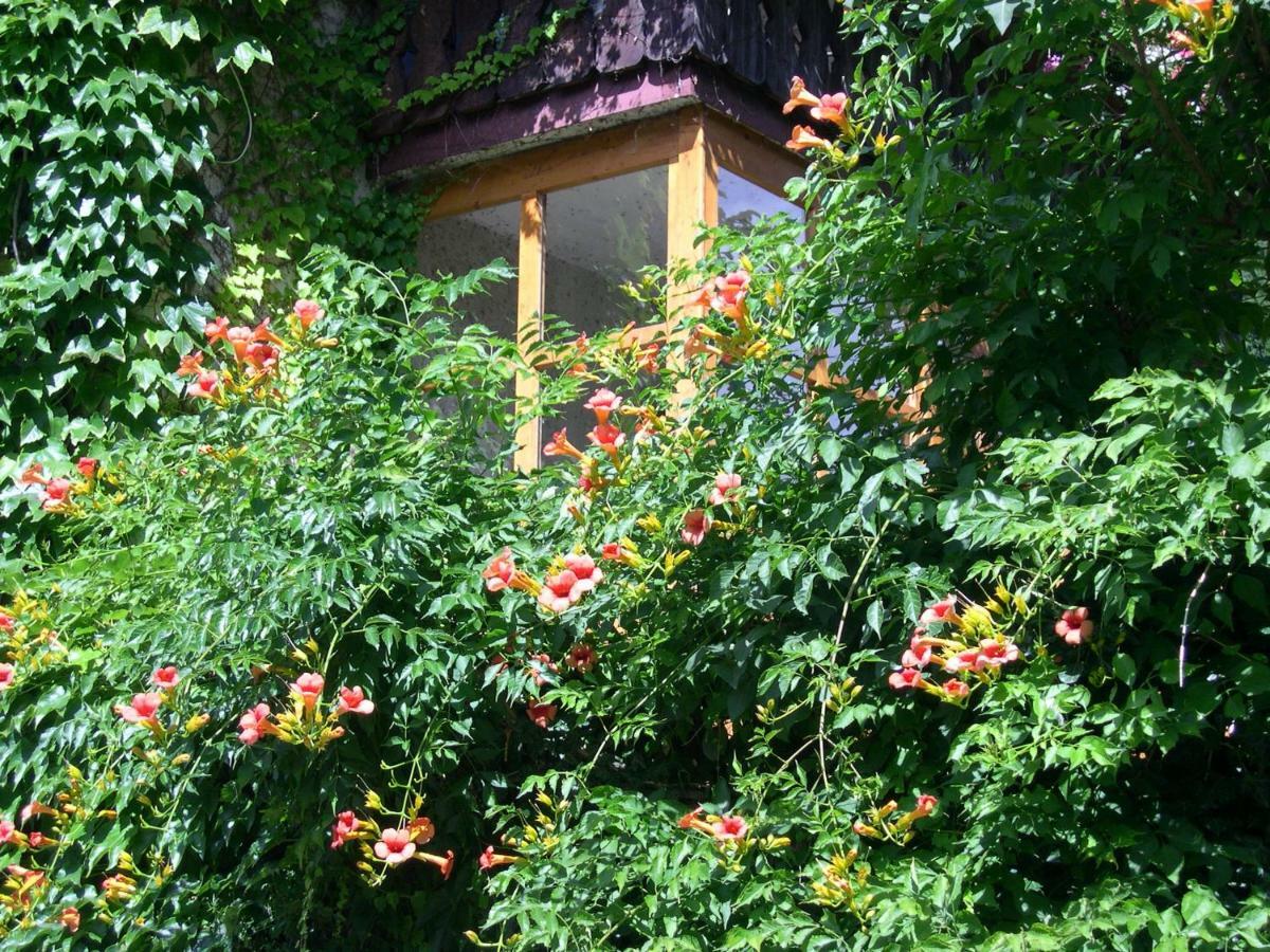 Obergereuth Hof 1288 Apartment San Martino In Passiria  Luaran gambar